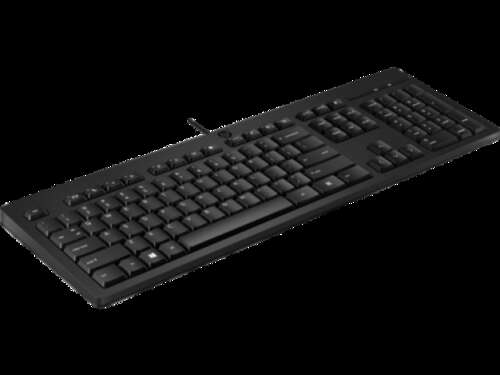 Клавиатура HP 125 USB Wired Keyboard 266C9A6-0