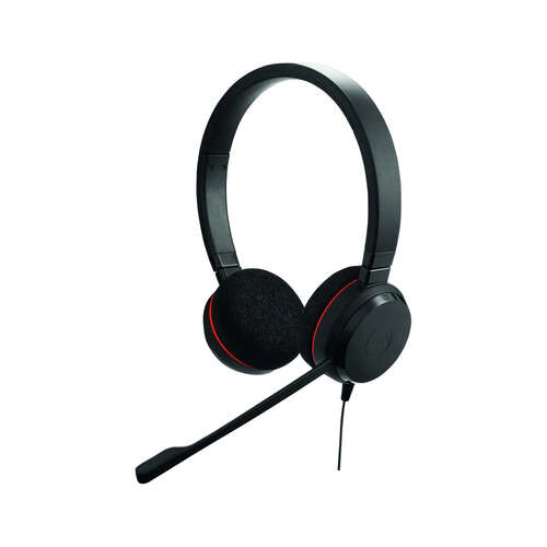 Гарнитура Jabra EVOLVE 20 Stereo MS USB-C-0