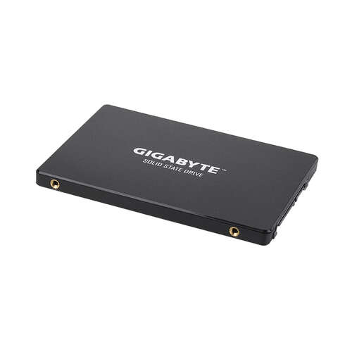 Твердотельный накопитель внутренний Gigabyte GSTFS31256GTND-0