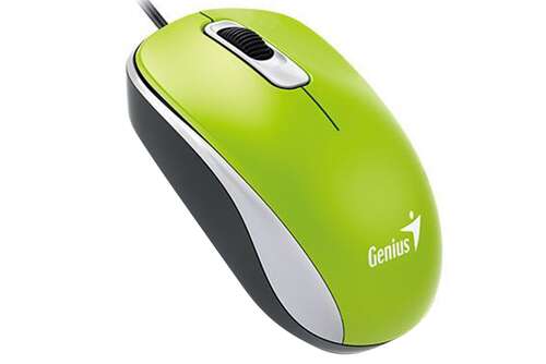 Мышь оптическая  Genius DX-110, Green, G5