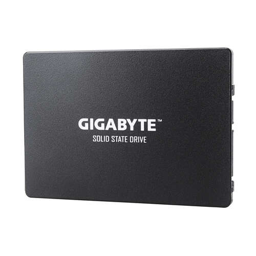 Твердотельный накопитель внутренний Gigabyte GP-GSTFS31100TNTD-0