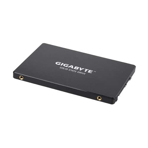 Твердотельный накопитель внутренний Gigabyte GP-GSTFS31100TNTD-0